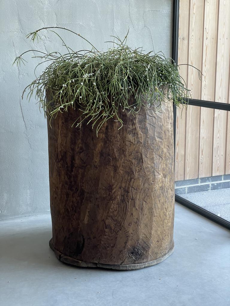 A C19th hollowed Trunk vessel