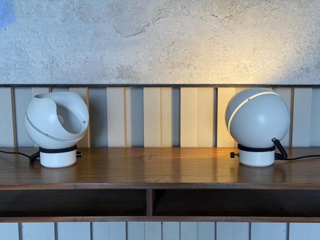 A Pair of Lamps by Josep Maria Magem