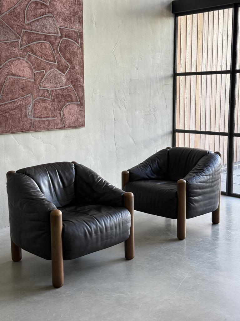 A Rare Pair of Armchairs by DeSede