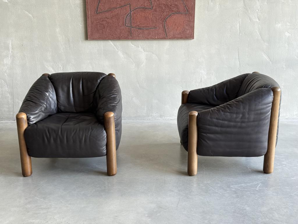 A Rare Pair of Armchairs by DeSede