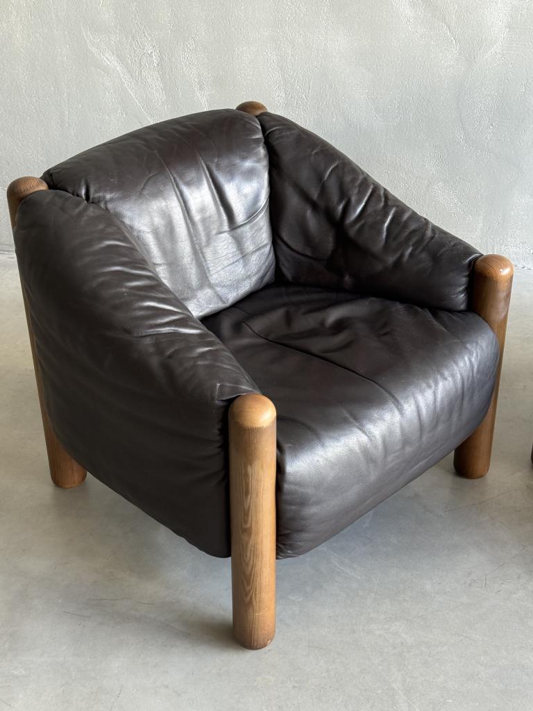 A Rare Pair of Armchairs by DeSede