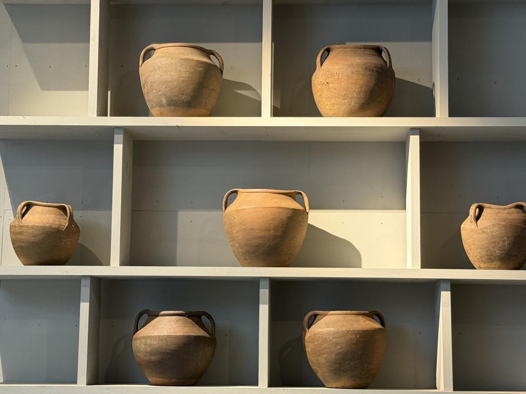 A Collection of C19th Terracotta Pots
