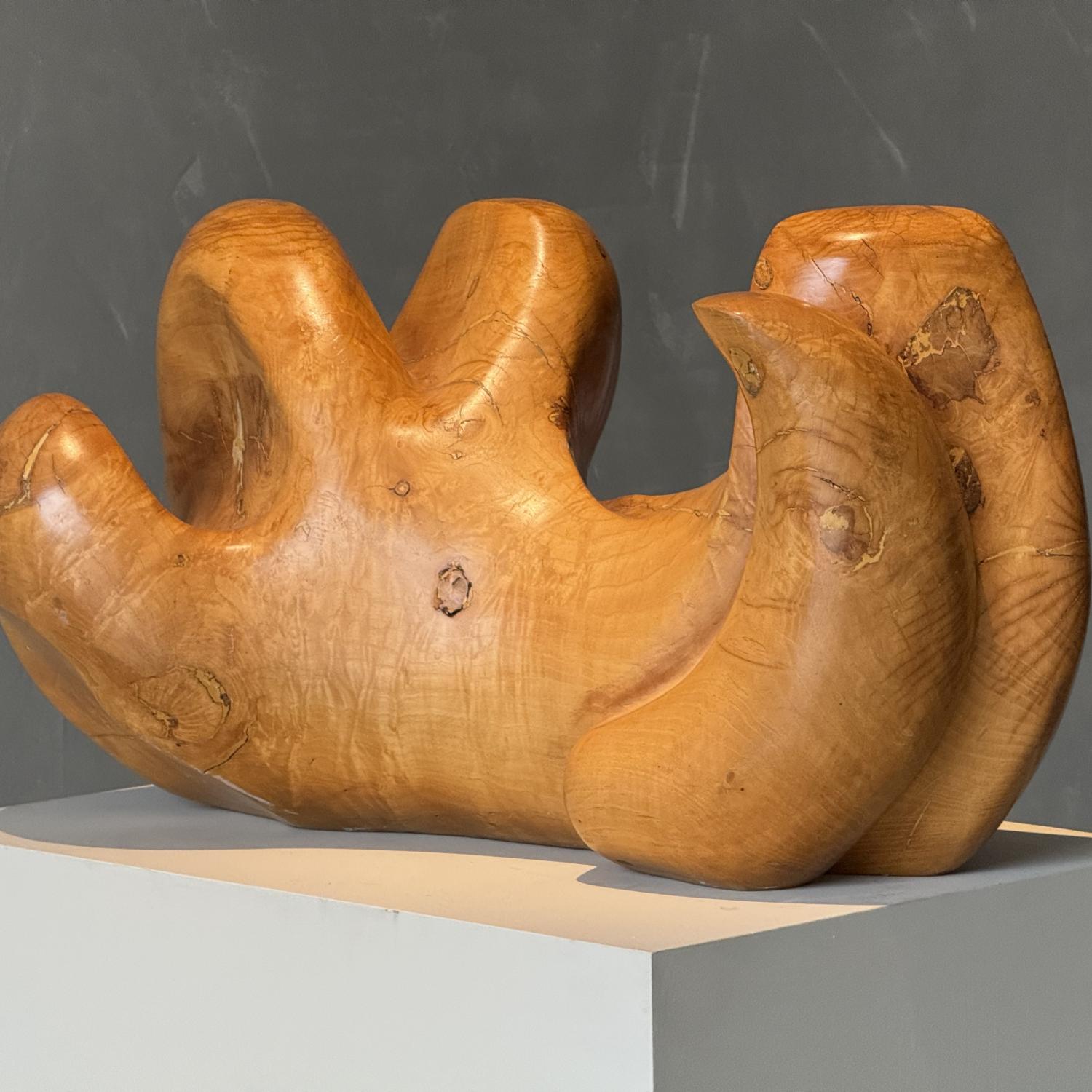A Wooden Sculpture by Aba Carrasquer