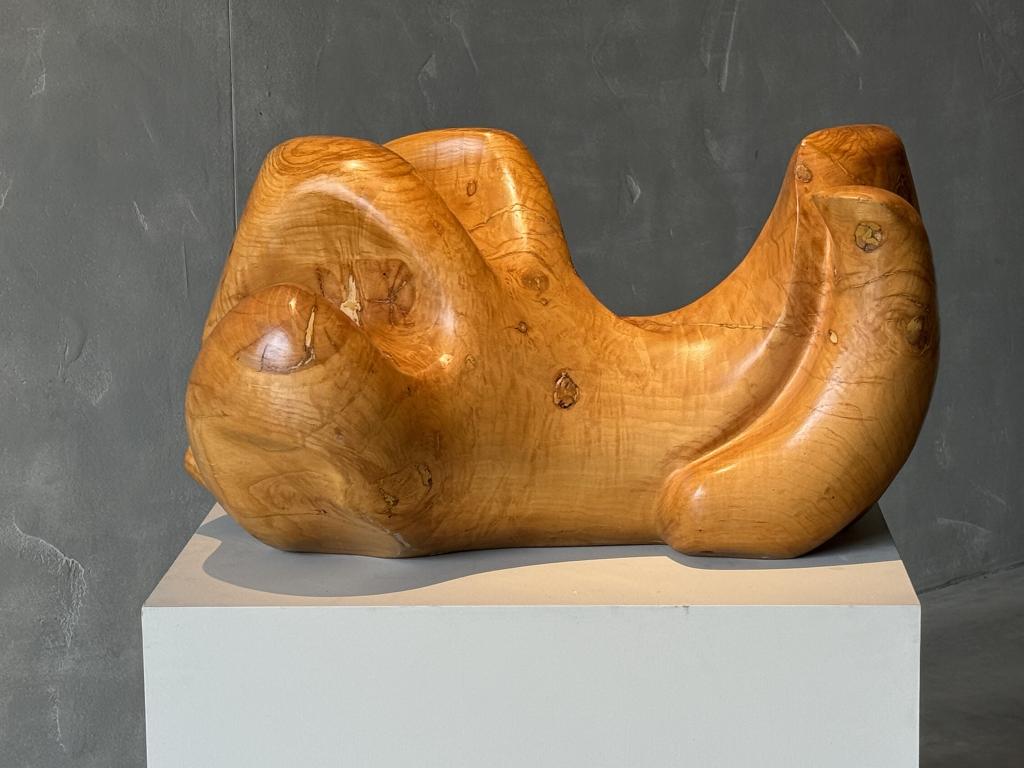 A Wooden Sculpture by Aba Carrasquer