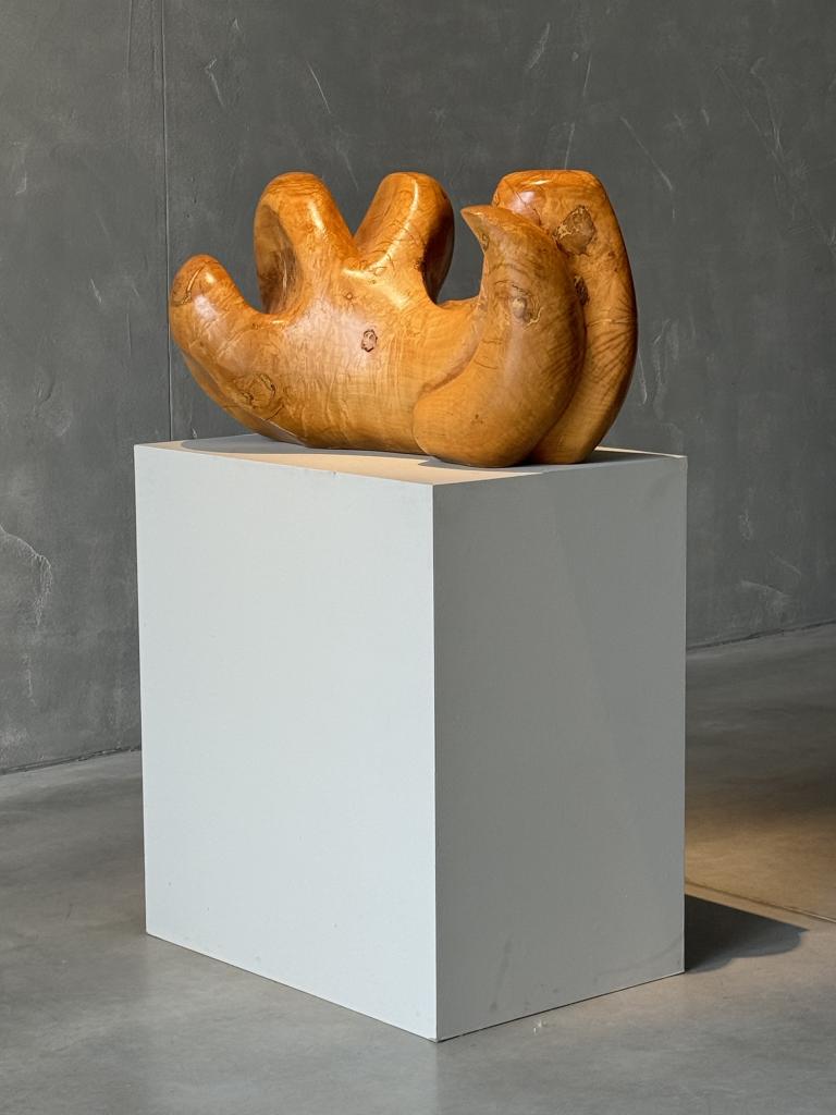 A Wooden Sculpture by Aba Carrasquer
