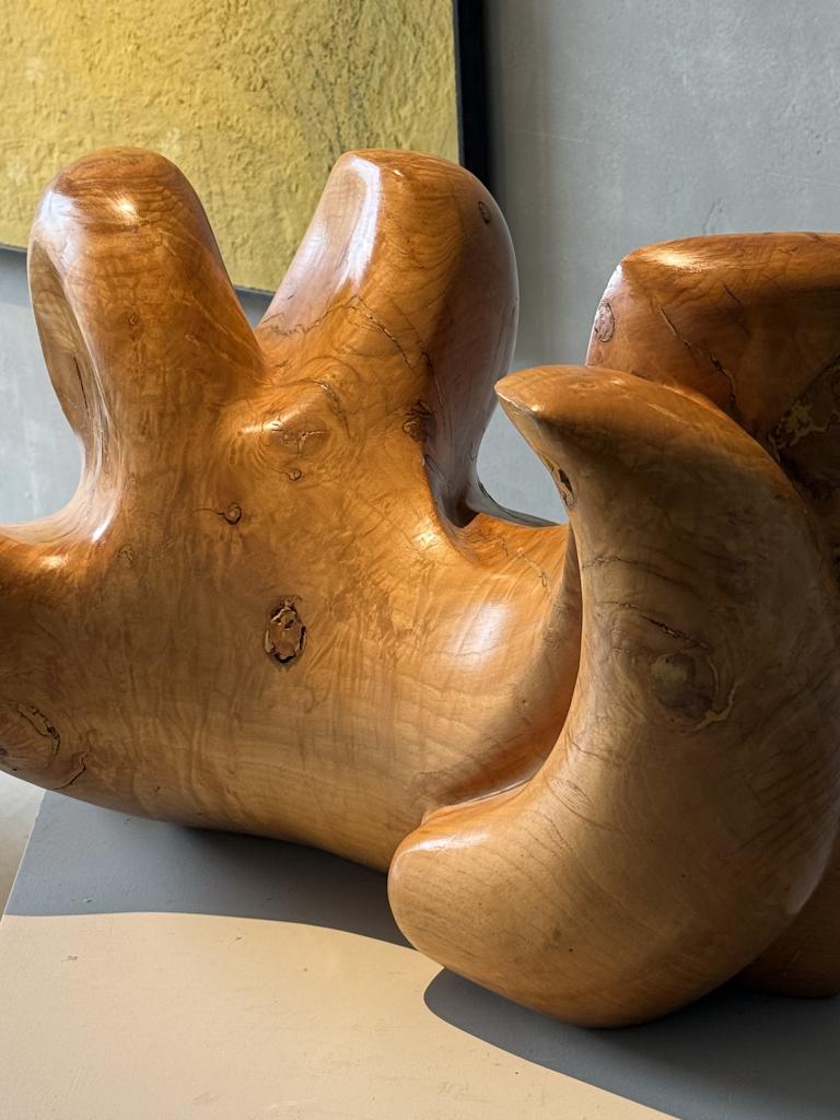 A Wooden Sculpture by Aba Carrasquer
