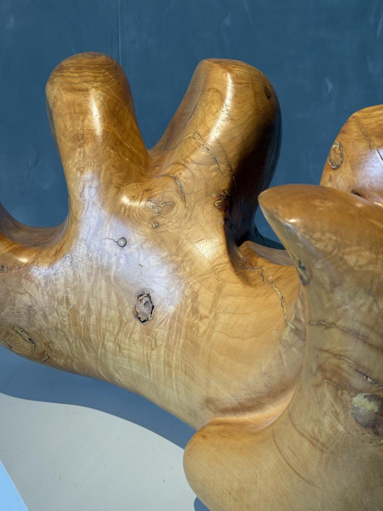 A Wooden Sculpture by Aba Carrasquer