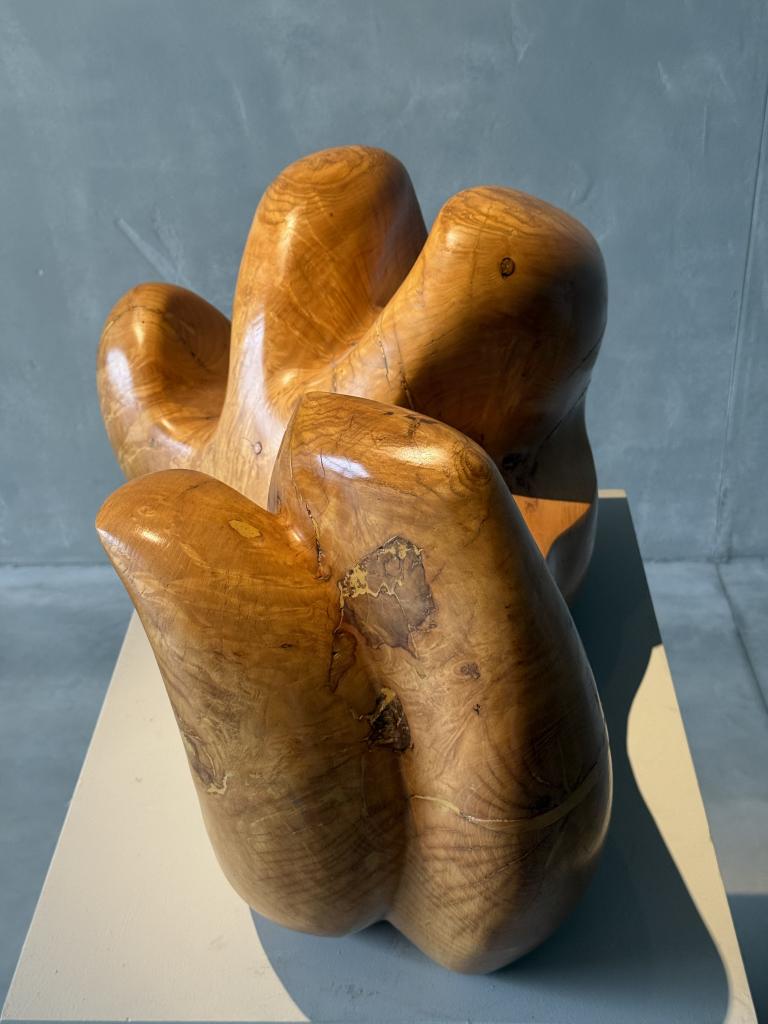 A Wooden Sculpture by Aba Carrasquer